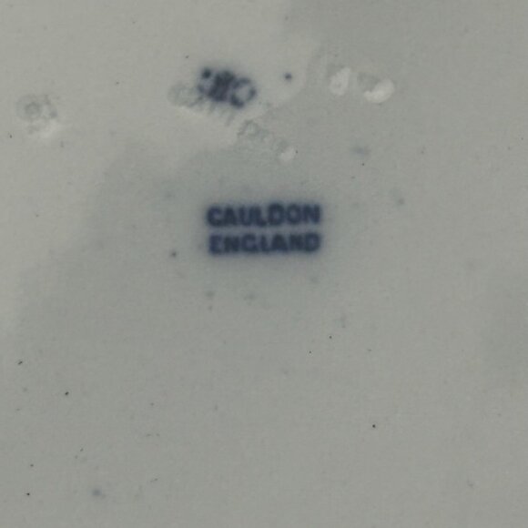 Antique 10" Royal Cauldon England  Flow Blue Turkey Dinner Plate - Picture 10 of 11